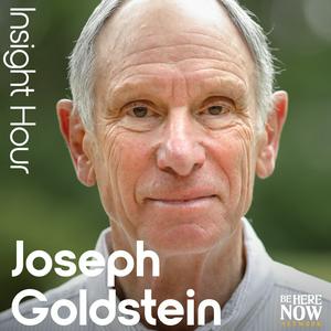 Ouça Insight Hour with Joseph Goldstein na aplicação