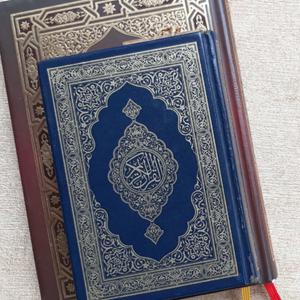 Ouça Quran in Audio (Multilingual) na aplicação