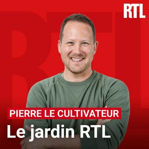 Ouça Le Jardin RTL na aplicação