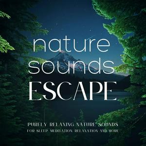 Ouça Nature Sounds Escape | Purely Relaxing Nature Sounds For Sleep, Relaxation, Meditation, Mindfulness, Study & Focus | Ambient Sounds Of Nature | Rain Sounds, Ocean Waves, Waterfall, River Sounds, Singing Birds, Beach, 8D Sounds, ASMR, White Noise & More na aplicação