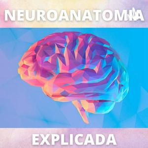 Ouça Neuroanatomia Explicada na aplicação