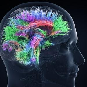 Ouça Neuroscienze na aplicação