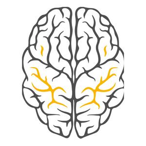 Neuropedia Podcast نيوروبيديا بودكاست