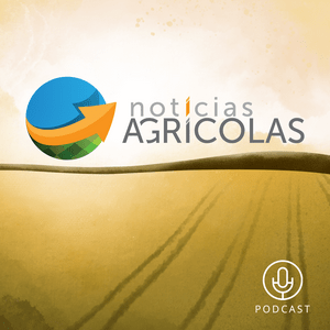 Ouça Notícias Agrícolas na aplicação