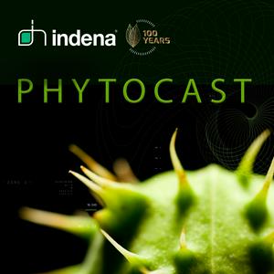 Ouça Phytocast - English na aplicação