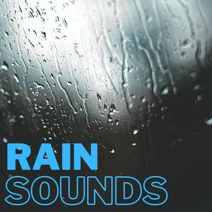 Ouça Rain Sounds na aplicação