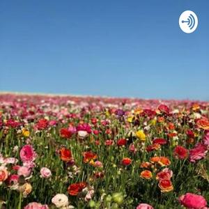 Ouça Relaxamento para o sono e meditações guiadas por Maurício Mello na aplicação