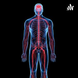 Sistema Nervoso - de forma simples