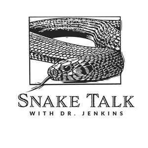 Ouça Snake Talk na aplicação