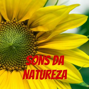 Ouça SONS DA NATUREZA na aplicação