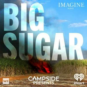 Campside Presents: Big Sugar