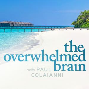 Ouça The Overwhelmed Brain na aplicação