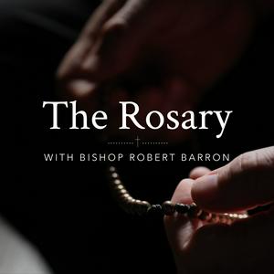 Ouça The Rosary with Bishop Robert Barron na aplicação