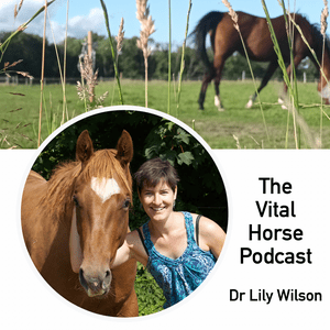 Ouça The Vital Horse Podcast na aplicação