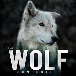 Ouça The Wolf Connection na aplicação