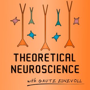 Ouça Theoretical Neuroscience Podcast na aplicação