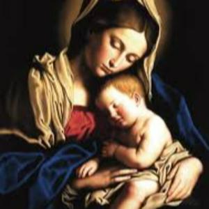 Ouça Theotokos - Reflexões Padre Arnaldo na aplicação