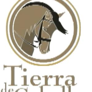 Ouça Tierra de caballos na aplicação