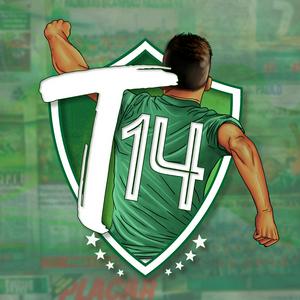 TIFOSI 14® - S.E. Palmeiras (T14)
