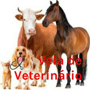 Ouça Veia de Veterinário na aplicação