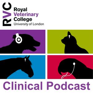 Ouça Veterinary Clinical Podcasts na aplicação