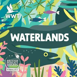 Waterlands
