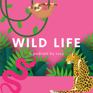 Wild Life