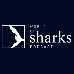 Ouça World of Sharks na aplicação